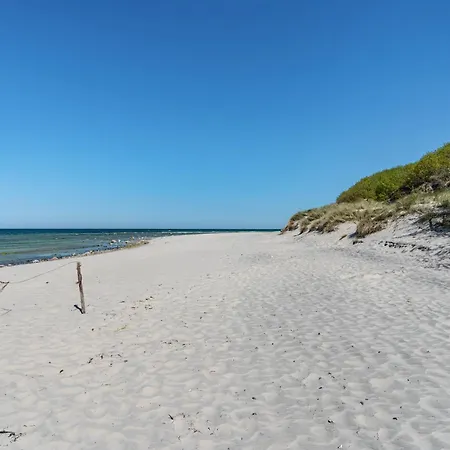 Bark Sedov, Bgl 3 * درانسكي