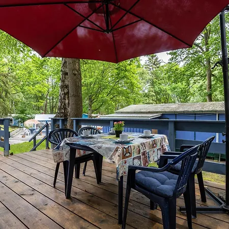 Bark Sedov, Bgl 3 * درانسكي