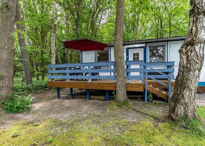 منتزه العطل Bark Sedov, Bgl 3