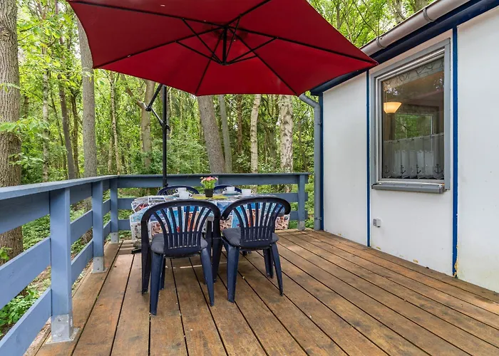 Bark Sedov, Bgl 3 * درانسكي